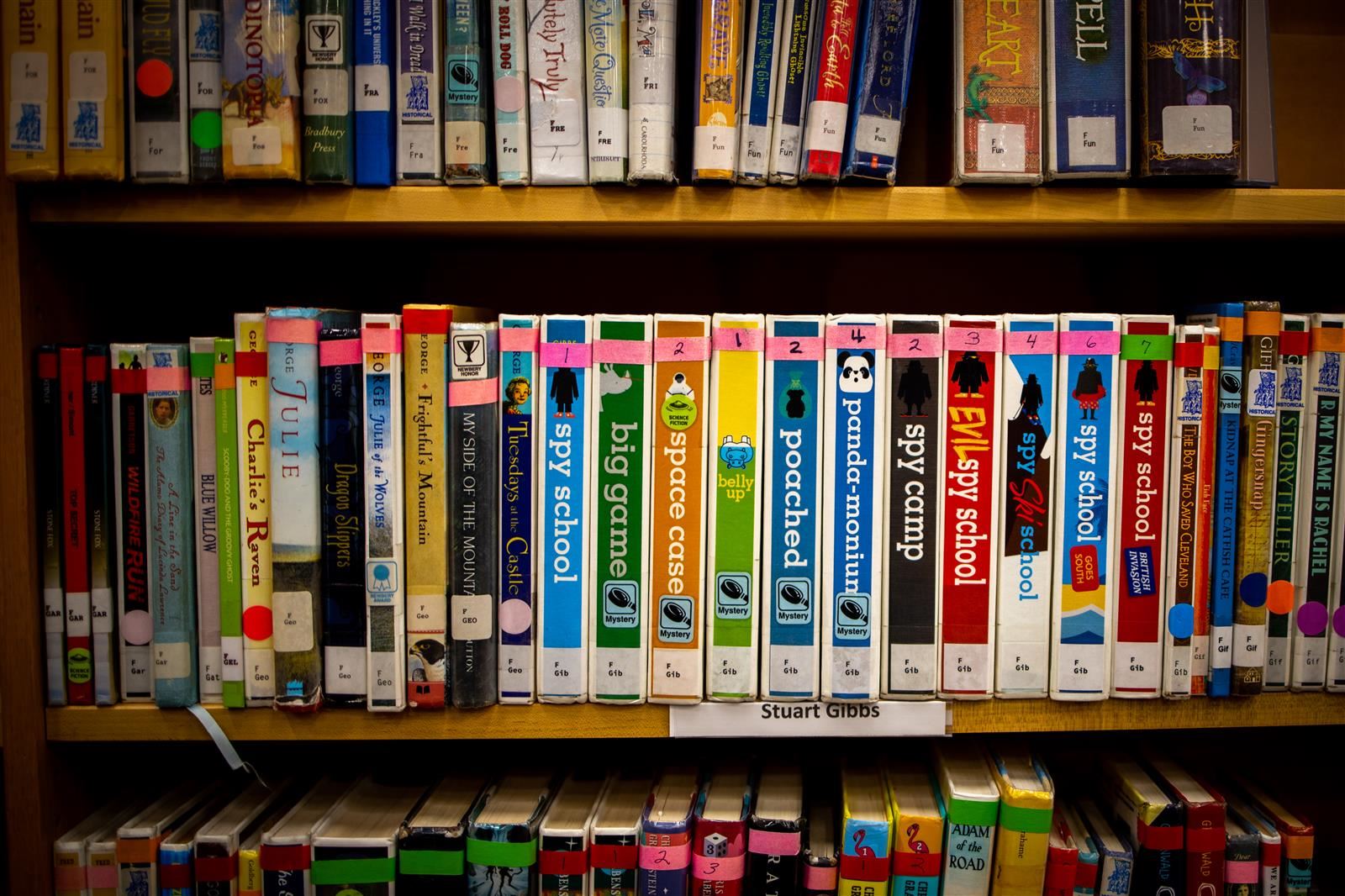 Books lined on a bookshelf.